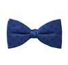 Papillon Blu Reale Teschi