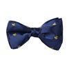Papillon Blu Royal con Anatre Gialle