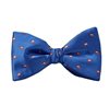 Papillon Blu Royal Paisley Marrone