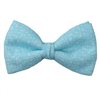 Papillon Blu Turchese Design