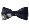 Papillon Blu e Grigio