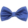 Papillon Blu con Pois Bianchi