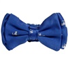 Papillon Bambino Azzurro con Cavallini Bianchi