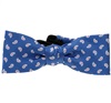 Papillon Bambino Azzurro con Cashmere Rosa