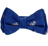 Papillon Bambino Azzurro con Orsetti Bianchi