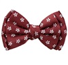 Papillon Bordeaux con Margherite