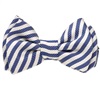 Papillon a Righe Blu Marino e Bianche