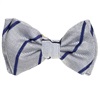 Papillon Bambino Righe Blu e Grigio
