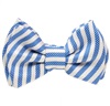 Papillon a Righe Blu e Bianche