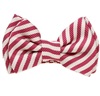 Papillon a Righe Magenta e Bianche