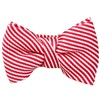 Papillon a Righe Rosse e Bianche