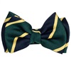 Papillon Bimbo Righe Seta Blu Navy e Verde