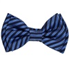 Papillon Bambino in Seta a Righe Blu