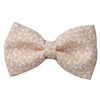 Papillon Beige Paisley