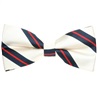 Papillon Beige Righe Blu Navy