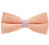 Papillon Bicolore Salmone e Malva