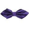 Papillon Viola Bogart