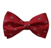 Papillon Bordeaux Biciclette