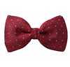 Papillon Bordeaux Margherite Blu