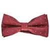 Papillon Bordeaux Pois Argento Elegante