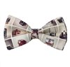 Papillon Fotocamere-3