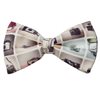 Papillon Fotocamere-4