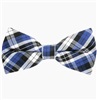 Papillon Scozzese Blu e Nero