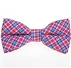 Papillon a Quadri Scozzesi Fucsia e Blu