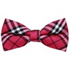 Papillon Scozzese Fucsia e Nero