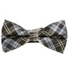 Papillon Tartan Scozzese Marrone