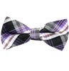 Papillon Scozzese Nero e Viola