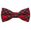 Papillon Scozzese Rosso e Verde