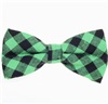 Papillon Quadretti Vichy Verde e Nero