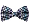 Papillon a Quadretti Vichy Blu, Viola e Nero