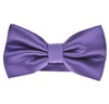 Papillon Elegante Viola Chiaro