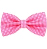 Papillon Fucsia con Pois Bianchi