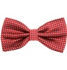Papillon Bordeaux a Pois Bianchi