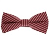 Papillon Bordeaux a Righe Bianche