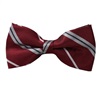 Papillon Bordeaux a Righe Grigie