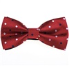 Papillon Bordeaux a Pois Multicolor