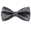 Papillon Grigio a Pois Neri
