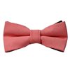 Papillon Corallo Vivente