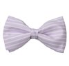 Papillon a Righe Malva