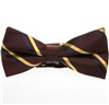 Papillon Marrone a Righe Oro