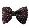 Papillon Marrone Margherite
