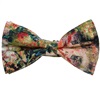 Papillon Monet