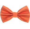 Papillon Arancione