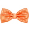 Papillon Arancione a Pois Bianchi