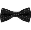 Papillon Nero con Trifogli Bianchi