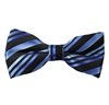 Papillon Nero Righe Blu